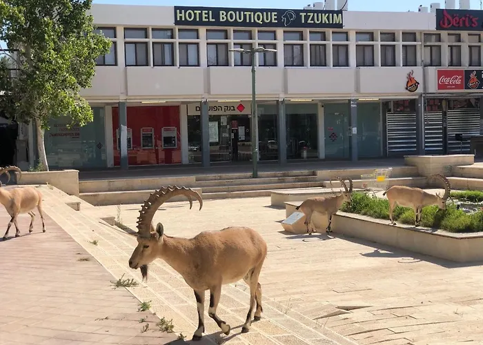 Tzukim Desert Traveler\'S Hotel - מלון צוקים